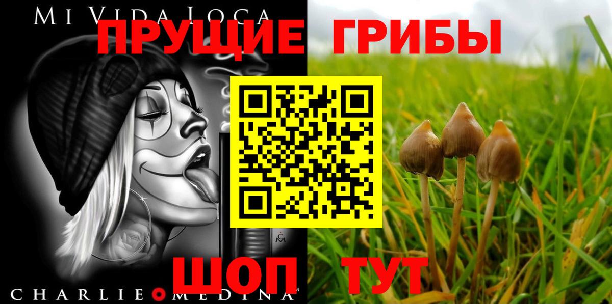 Галлюциногенные грибы ЛСД  Галлюциногенные грибы MAGIC MUSHROOMS  Арсеньев  Вход с VPN 